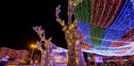 Тур в Воронеж на Новый год 2027 
